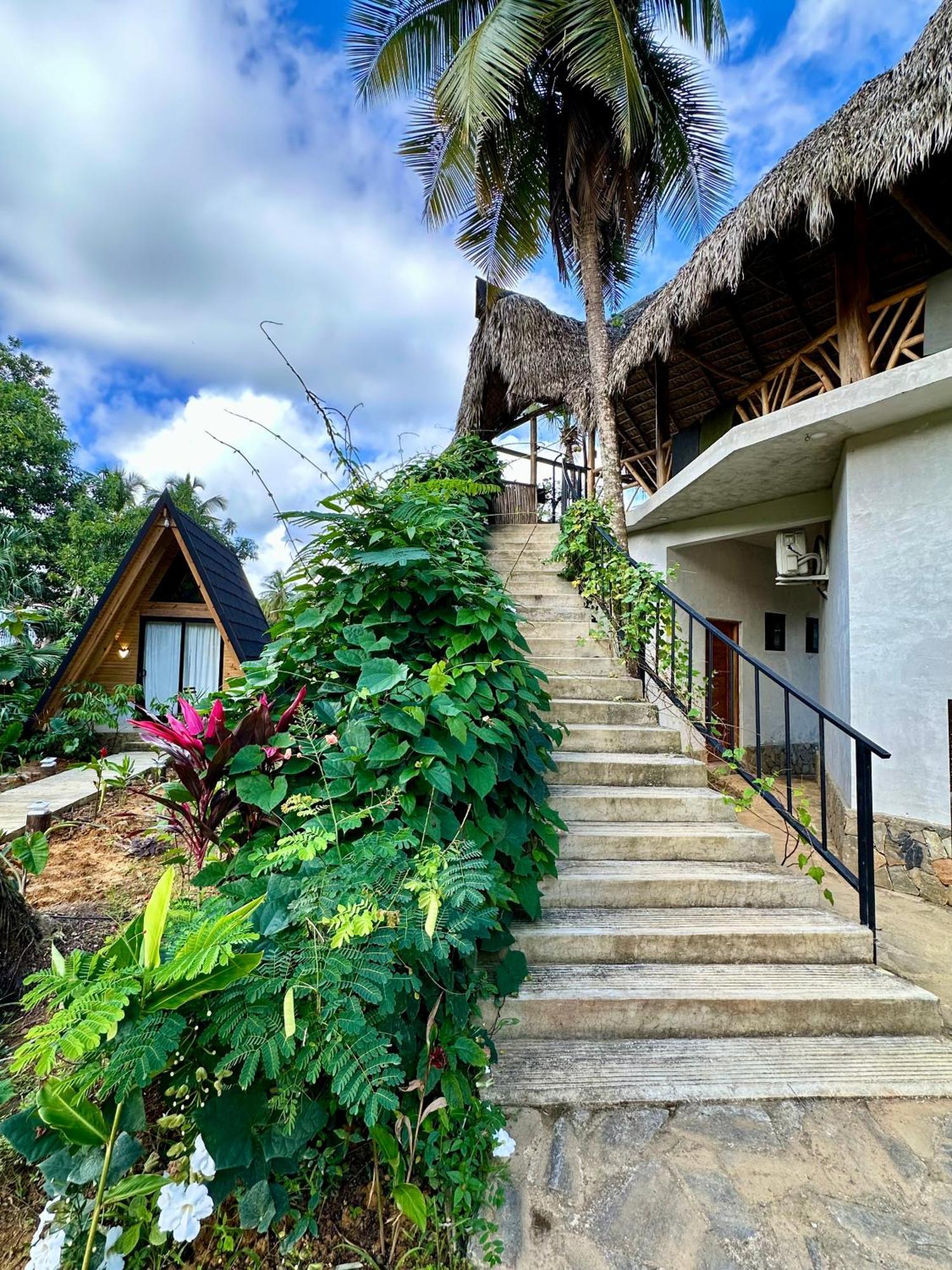 Leisy'S Garden Hostel & Rooms Samana Exterior photo