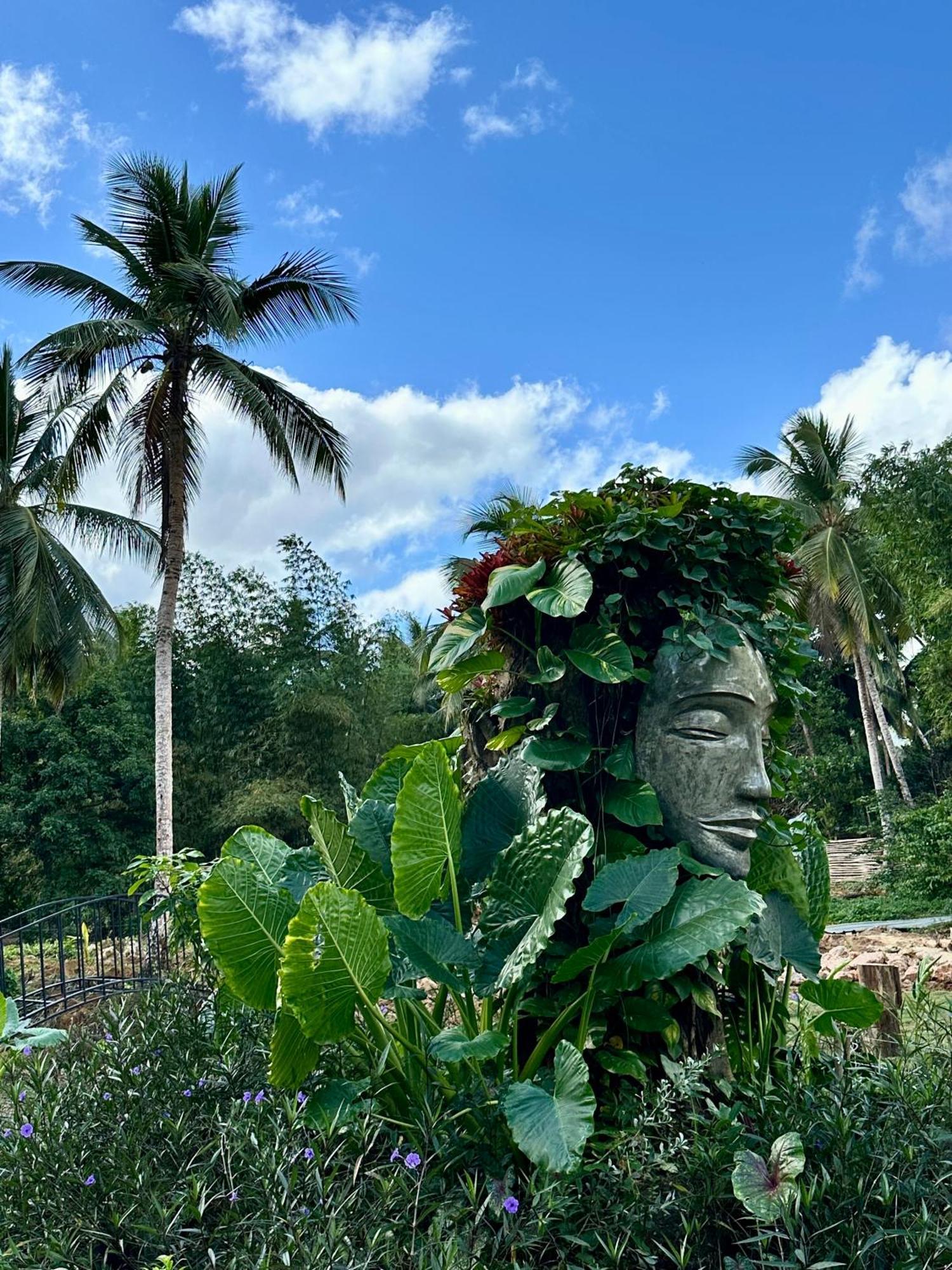 Leisy'S Garden Hostel & Rooms Samana Exterior photo